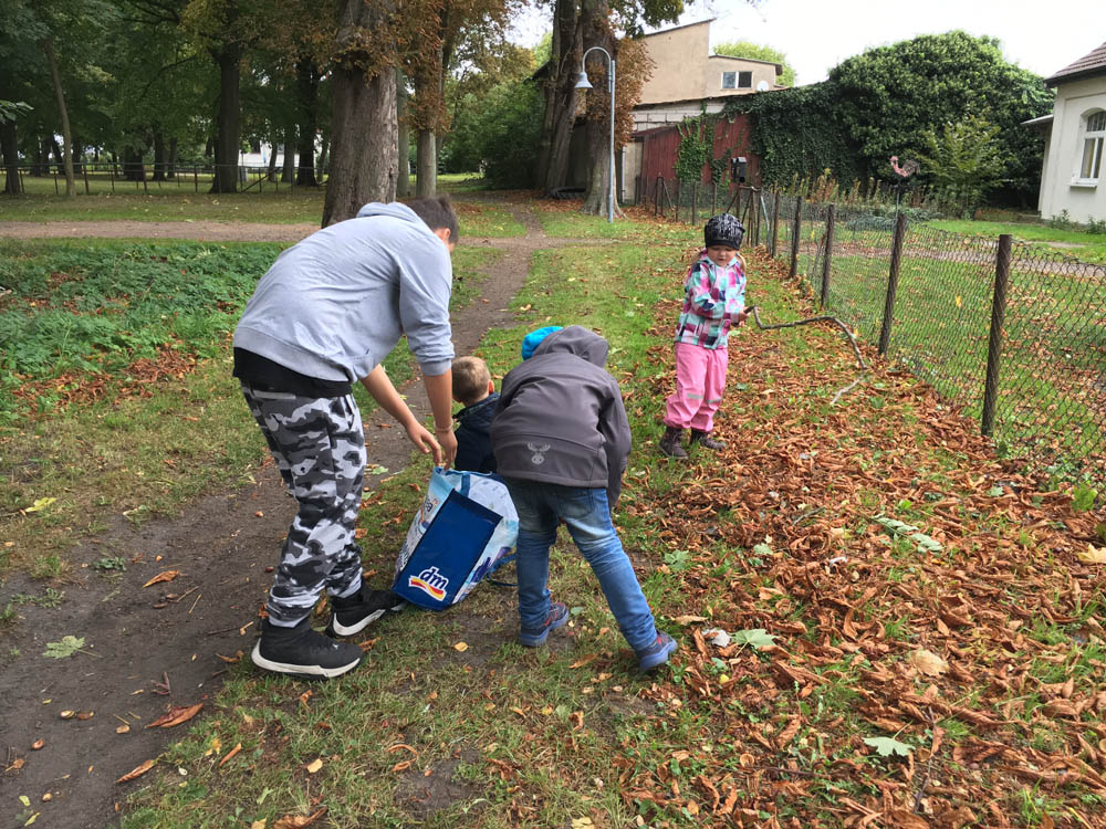 Kastanien_sammeln_Sept_2018_01