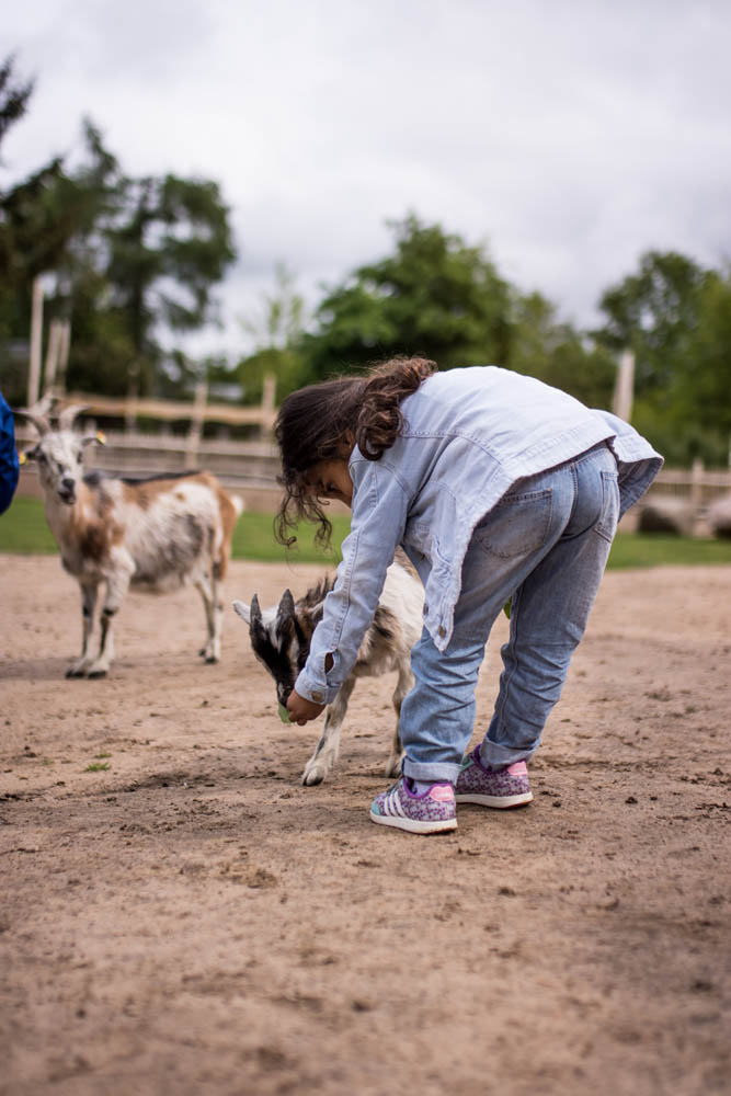 Vogelpark_28-05-2019_18