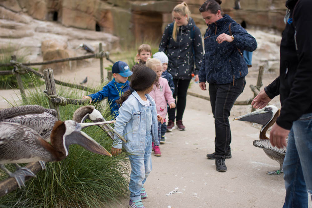 Vogelpark_28-05-2019_22