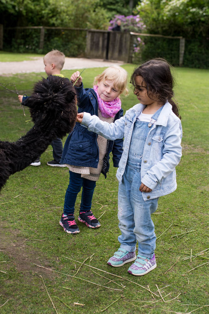 Vogelpark_28-05-2019_27