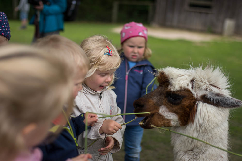 Vogelpark_28-05-2019_30