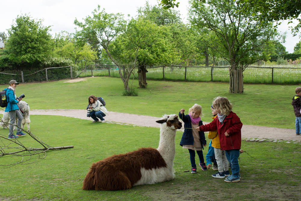 Vogelpark_28-05-2019_32