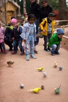 Vogelpark_28-05-2019_05