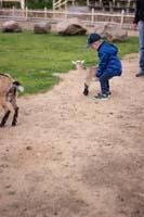 Vogelpark_28-05-2019_13