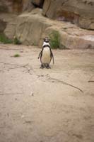 Vogelpark_28-05-2019_21